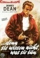 ...denn Sie wissen nicht was Sie tun (1955) 
