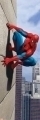 Spider-Man: Marvel 