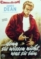 ...denn Sie wissen nicht was Sie tun (1955) 