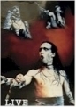 Marilyn Manson / 3 Bilder Live 