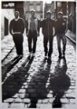Arctic Monkeys: Schatten 