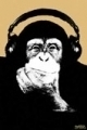 STEEZ: Affe mit Kopfh�rer 