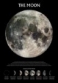 Mond mit Mondphasen 