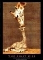 Giraffen: Der erste Kuss 