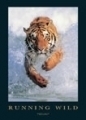 Tiger: Running wild 