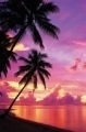 Sonnenuntergang Auf Tahiti 