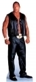 WWE - THE ROCK: Aufsteller 