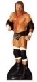 WWE - TRIPLE H: Aufsteller 