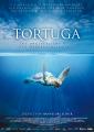 Tortuga - Die unglaubliche Reise der Meeresschildkr�te (2009) / orig. Filmplakat  
