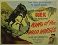 King of the Wild Horses (1933) / orig. Filmplakat 