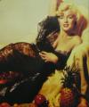 Marilyn Monroe: Fruit / Poster 