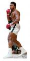 Muhammad Ali: Aufsteller 