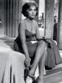 Gina Lollobrigida / Poster 