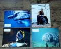 Atlantis  (1991) / orig. Fotosatz 