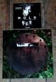 The Hole (2001) / orig. Presseheft + Audio-CD 