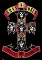 Guns N Roses: Appetite / UK Import Poster 