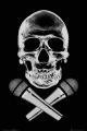 Steez: Skull / US Import Poster 