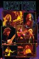 Led Zeppelin: Collage / UK Import Poster 