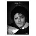 Michael Jackson: Commemorative / UK Import Poster 