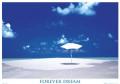 Strand: Forever Dream 