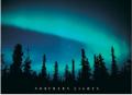 Northern Lights / Poster 