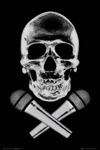 STEEZ: Skull / US Import Poster 