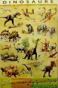 Dinosaurier: �bersichtstafel / Poster 