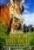 Zwei Br�der: alte Tiger (2004) 