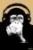 STEEZ: Affe mit Kopfh�rer 