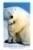 Eisb�ren: Polar Love 